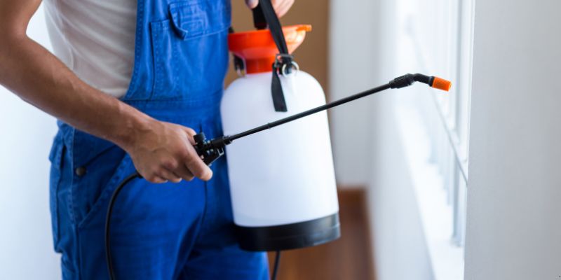 Como fazer dedetização em casa em Taubaté