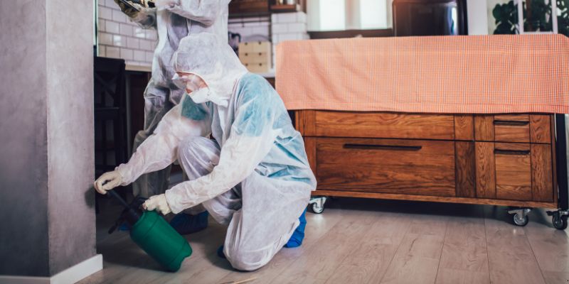 Dedetização em apartamento como funciona em Taubaté