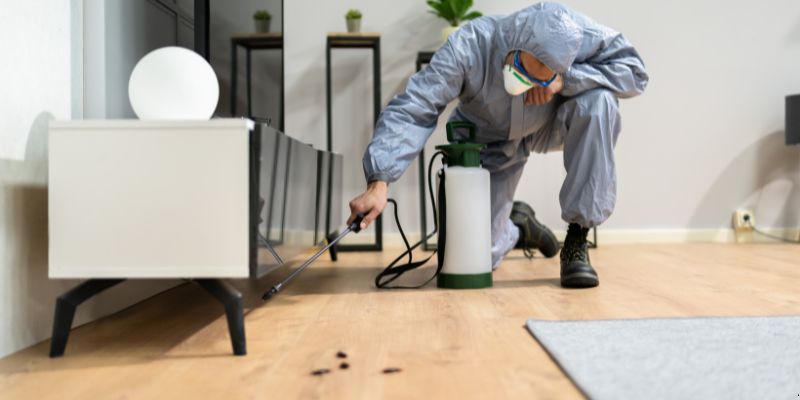 Quanto Tempo Dura Uma Dedetização em Taubaté? Confira! Quanto tempo dura uma dedetização em Taubaté?